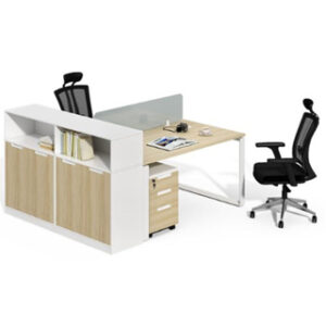 Dual Workstation